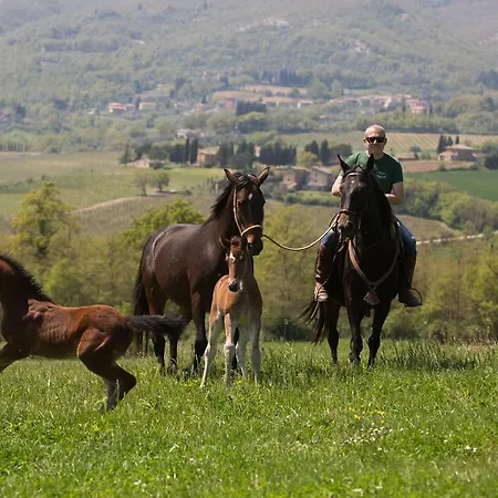 Poggiovalle Tenuta Italiana Casa de Campo Città della Pieve