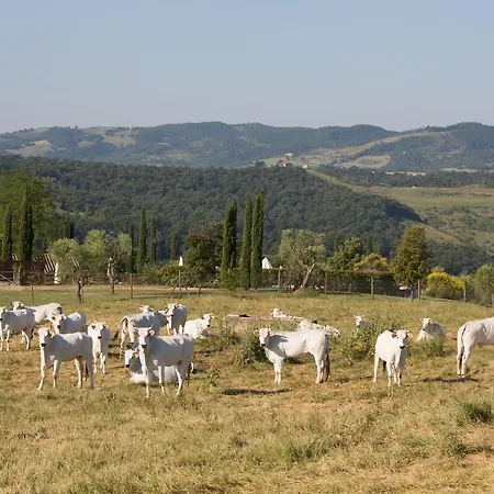 Poggiovalle Tenuta Italiana Casa de Campo Città della Pieve